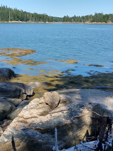 Heart shaped rock