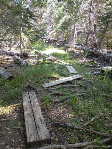 Boardwalk to assist hikers over wet areas