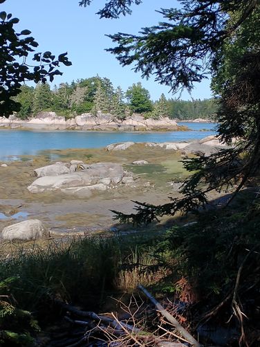 Peaceful view of Pickering Cove 