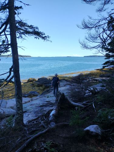 Beautiful view out toward the cove