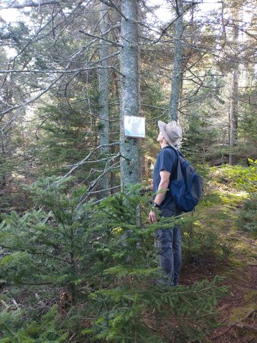 Maps at trail junction 