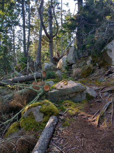 One of the few inclines along the hike