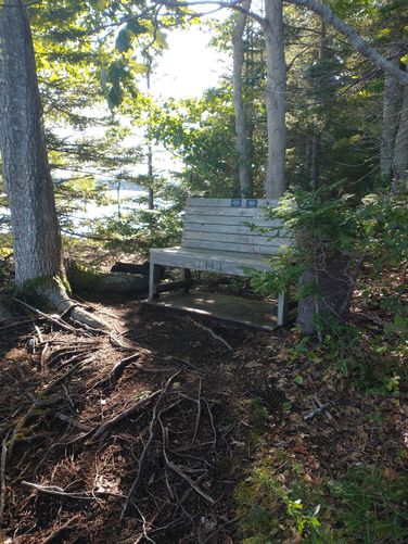 Memorial bench