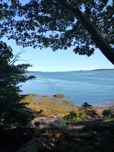 View from bench