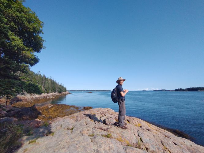 Looking for harbor seals