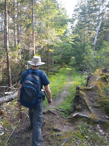 Trail substrate 
