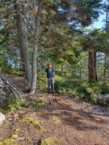 Trail substrate 