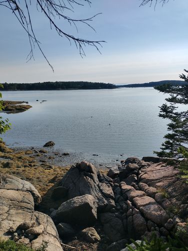 View of the Harbor from Juniper Trail 