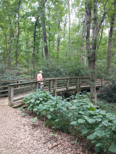 Beautiful well maintained trails