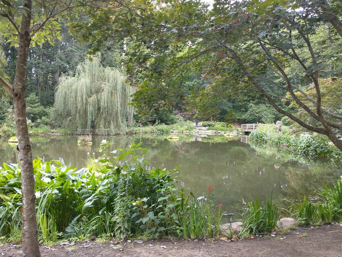 Views from the Plecker Pond Loop 