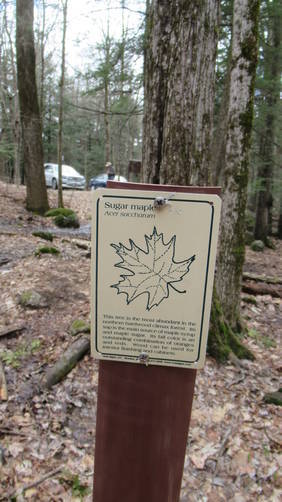 Educational posts along the trail