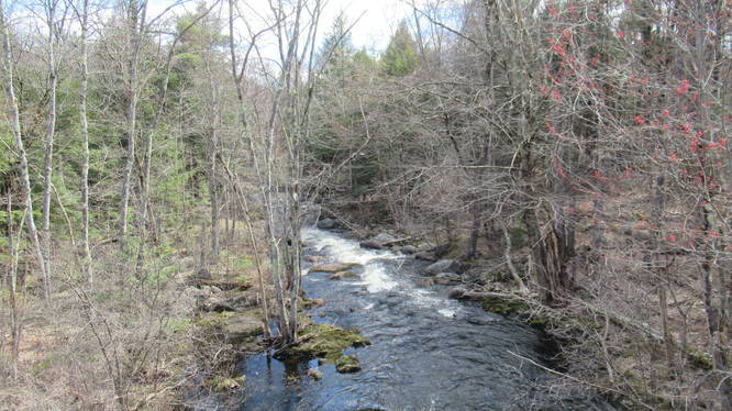 View of Nubanusit Brook from overpass on paved part of trail