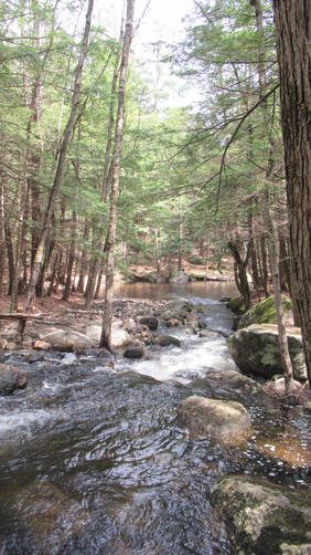 Beautiful brook along the trail