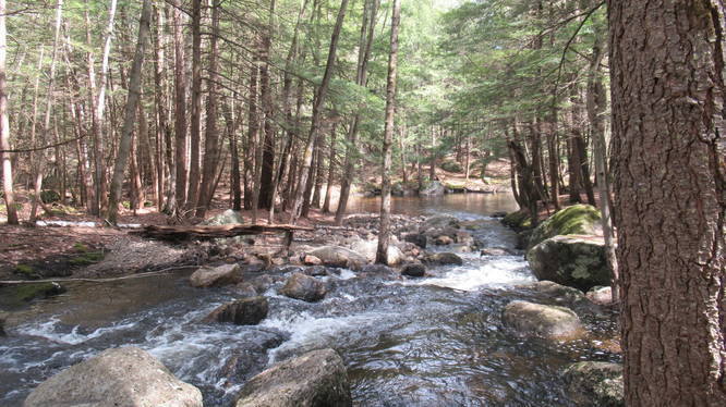 Beautiful brook along the trail