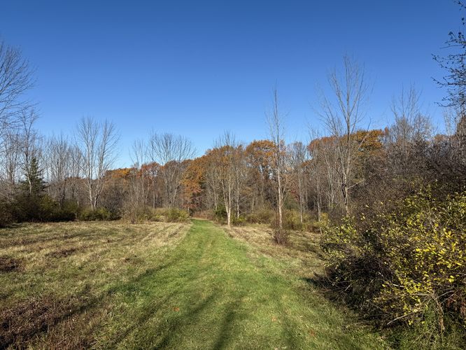 Open field leads to the turn to the Pocket Falls Trail