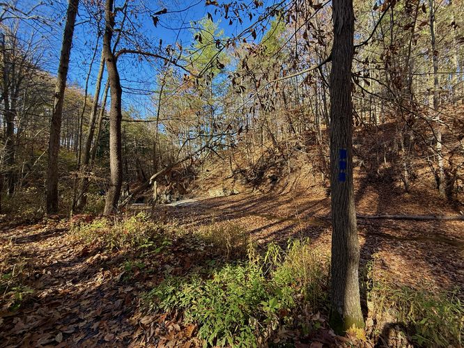 Blue blazes of the Pocket Falls Trail -- end of trail at the creek