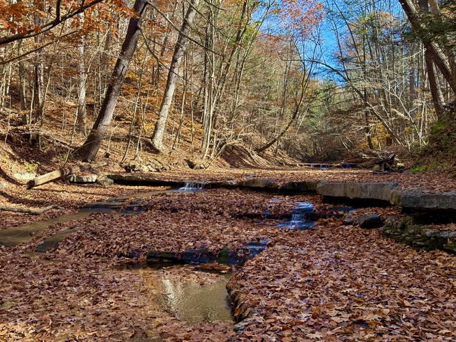 Small cascades within Gulf Creek