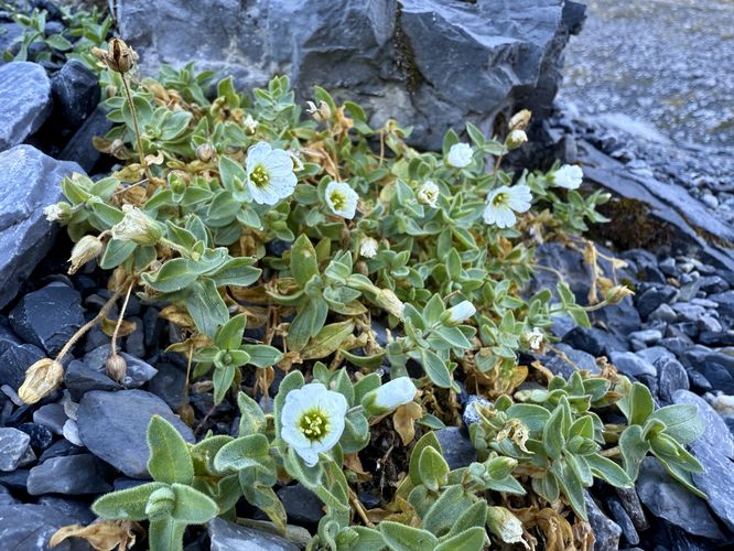 Picture 74 of Eiger Trail Hike