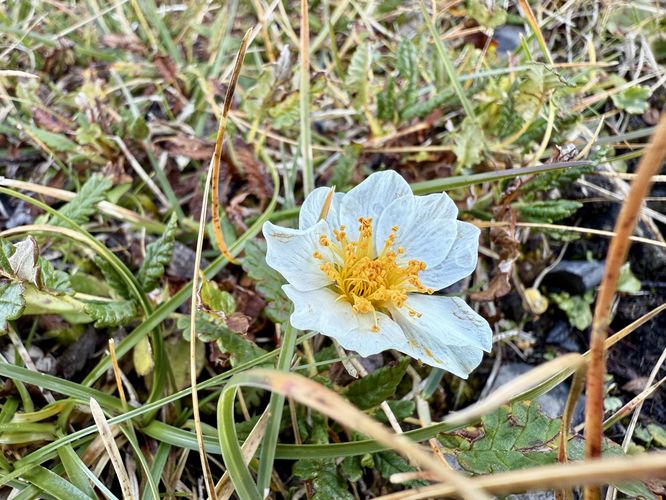 Picture 78 of Eiger Trail Hike