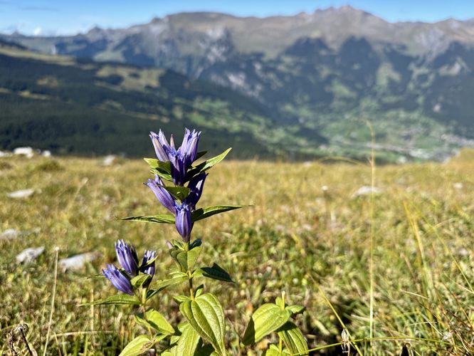 Picture 89 of Eiger Trail Hike