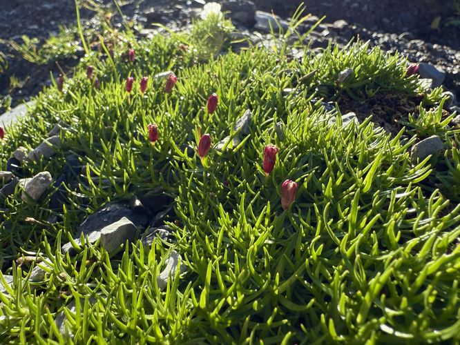 Picture 90 of Eiger Trail Hike