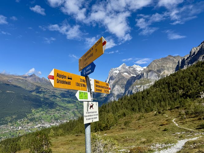 Picture 99 of Eiger Trail Hike