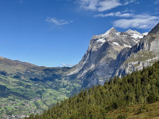 View of Grindelwald and the Wetterhorn