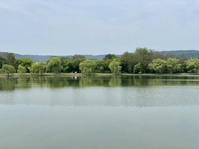 View of Eldridge Lake