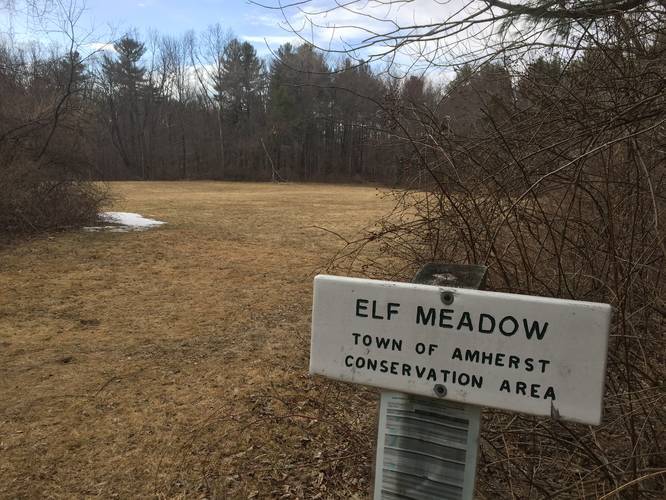 Elf Meadow Conservation Area - Elf Meadow album
