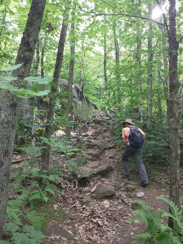 Steep ascent begins