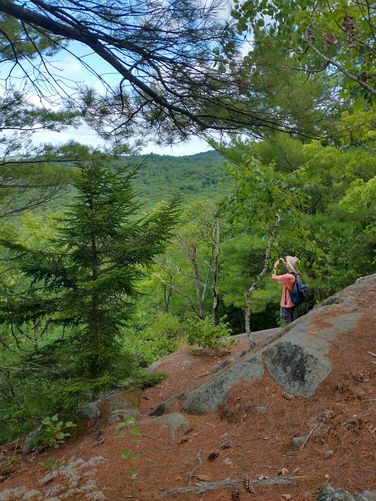 Nice places to view valley below 