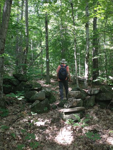 McIntire Trail through an old rock wall