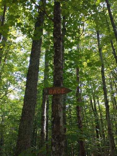 Trail sign
