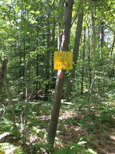 Needed trail junction sign 