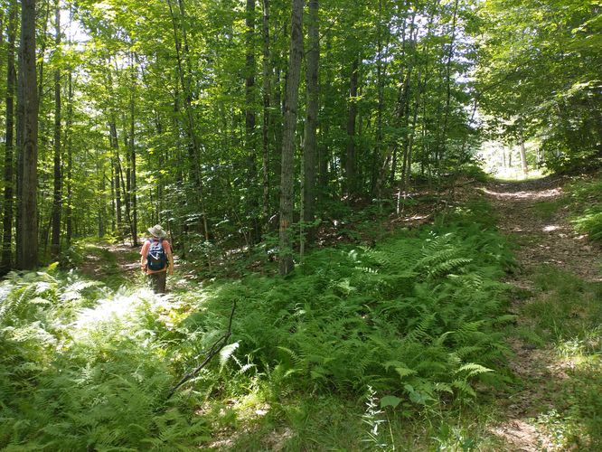 Gage trail junction might easily be missed 