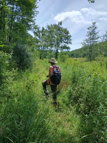 Tall grasses are perfect tick habitat!