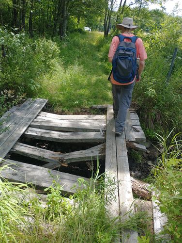 Use caution crossing the wooden bridge on the Gage trail 