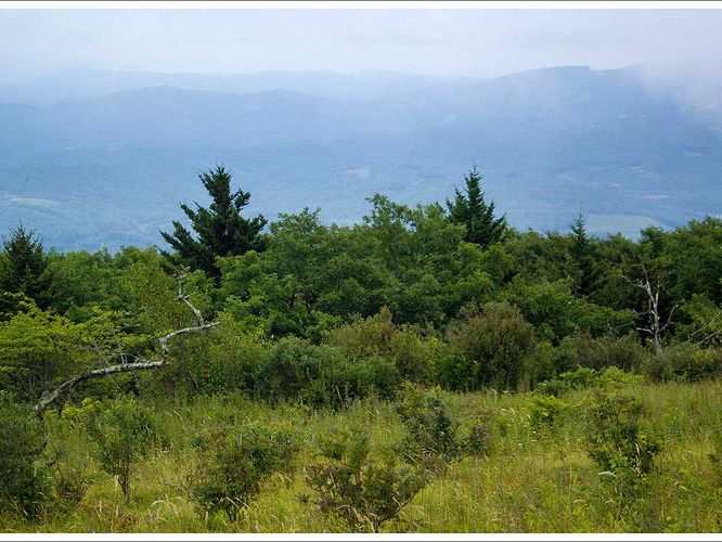 Picture 6 of Elk Garden to Buzzard Rock Hike 080216