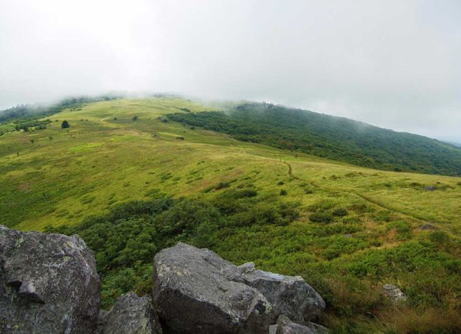 Default image for Elk Garden to Buzzard Rock Hike, a 6.8-mile trail in Azen, VA (US)