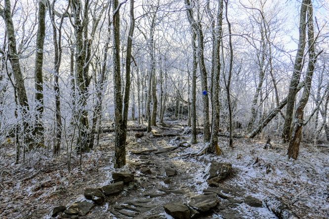 Picture 2 of Elk Knob Hike 032821