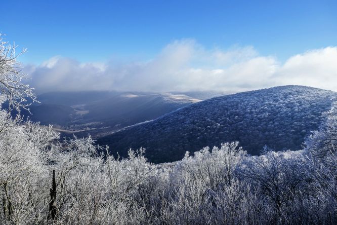 Picture 3 of Elk Knob Hike 032821