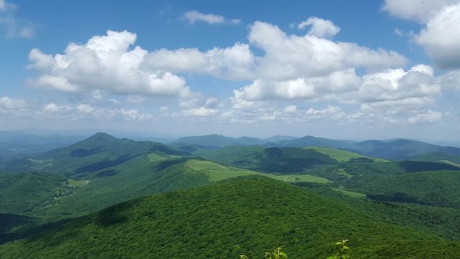 Picture 2 of Elk Knob Hike 061415