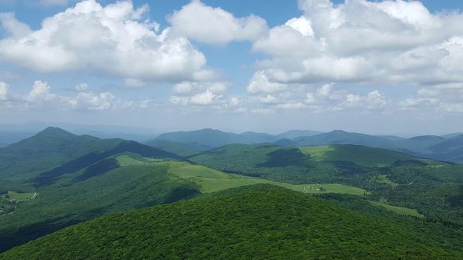 Picture 4 of Elk Knob Hike 061415