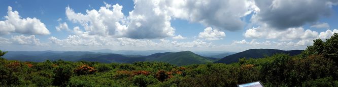 Picture 5 of Elk Knob Hike 061415