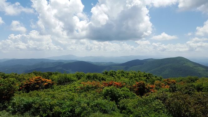 Picture 6 of Elk Knob Hike 061415