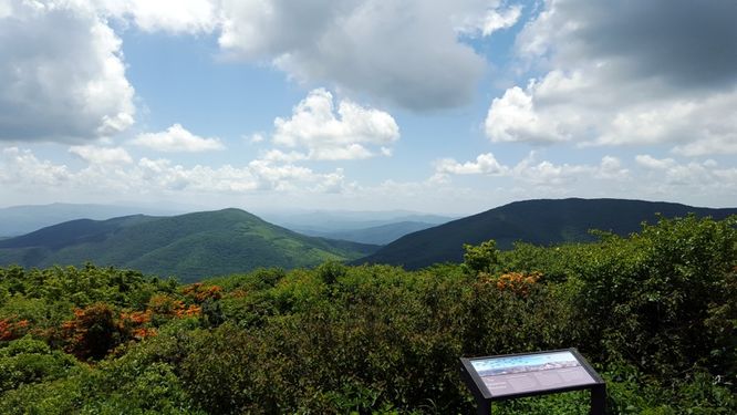 Picture 7 of Elk Knob Hike 061415