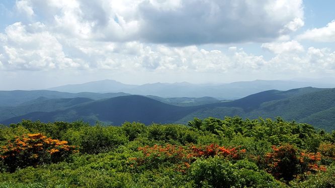 Picture 8 of Elk Knob Hike 061415