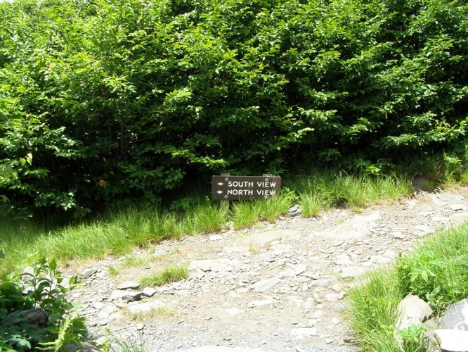 Picture 26 of Elk Knob Hike 061415