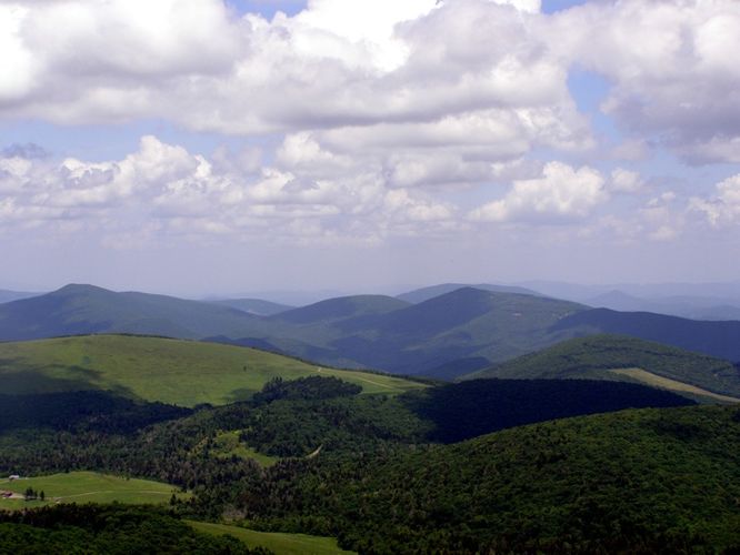 Picture 29 of Elk Knob Hike 061415