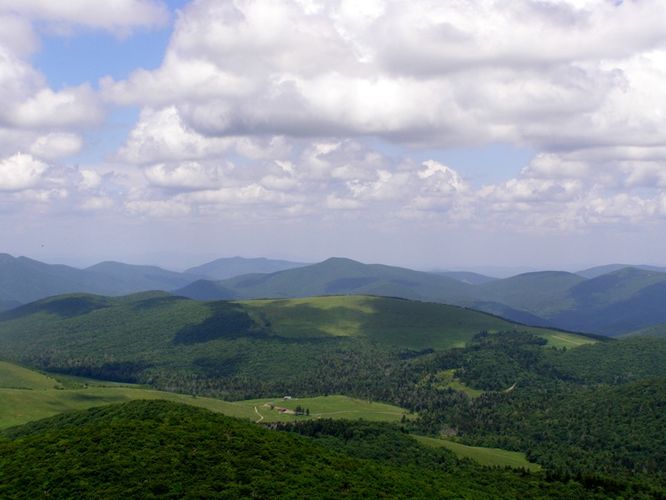 Picture 1 of Elk Knob Hike 061415